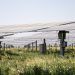 Grenergy firma un PPA con Enel para una de sus plantas solares en Perú