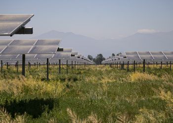 Planta solar