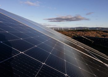 EDPR se adjudica 30 MWp en la última subasta solar de Francia