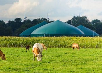 Planta de biometano. Cepsa.