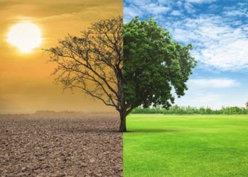 Informe de Climate Group