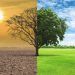 Informe de Climate Group