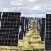 El PPA de EDPR y Lhyfe contempla energía de una planta solar.