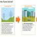Cambios de comercializador. CNMC