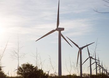 Iberdrola y el Banco Mundial firman un nuevo préstamo verde.