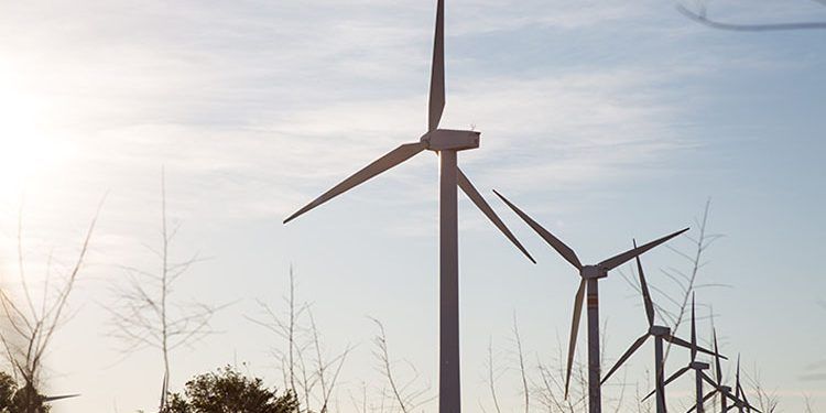 Iberdrola y el Banco Mundial firman un nuevo préstamo verde.
