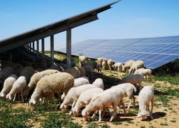 Iberdrola prepara la primera planta híbrida hidroeléctrica con solar de España