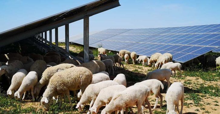 Iberdrola prepara la primera planta híbrida hidroeléctrica con solar de España