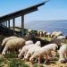 Iberdrola prepara la primera planta híbrida hidroeléctrica con solar de España