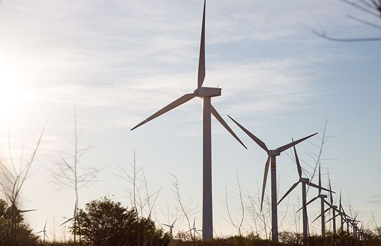 Iberdrola y el Banco Mundial firman un nuevo préstamo verde.