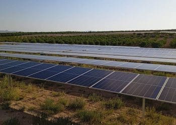 Parque de Comunidad Solar en Murcia
