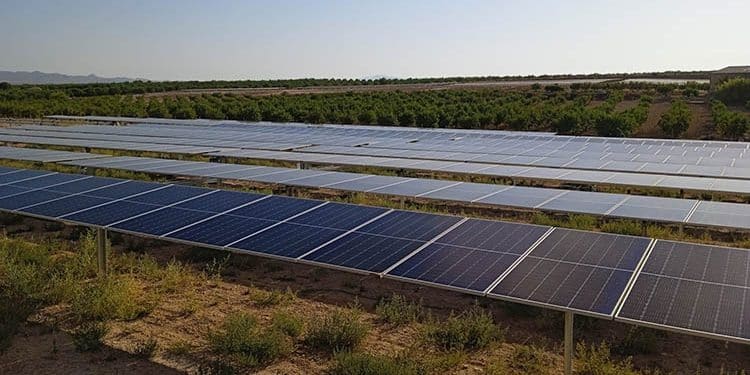Parque de Comunidad Solar en Murcia