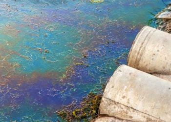 La nueva ley prevé sanciones armonizadas para los delitos medioambientales, incluidas penas de prisión y multas @DedMityay/Adobe Stock