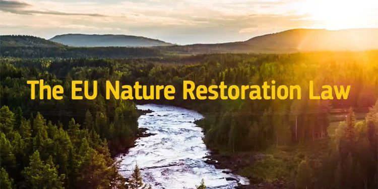 Nueva Ley de Restauración de la Naturaleza europea.