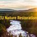 Nueva Ley de Restauración de la Naturaleza europea.