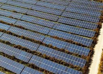 Octopus Energy y Salzgitter firman una PPA de energía solar a 10 años.