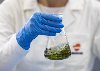 Repsol lleva sus combustibles renovables al ejército español en La Antártida