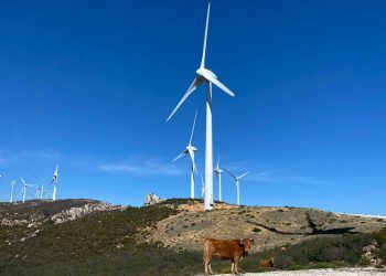 Endesa reafirma su compromiso de alcanzar las cero emisiones en 2040