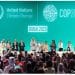 La presidencia de la COP28 ha encargado a IRENA el seguimiento del Consenso de los EAU.