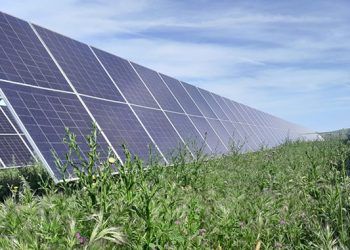 Ignis inaugura la planta de Guadacano en Antequera y Archidona (Málaga).