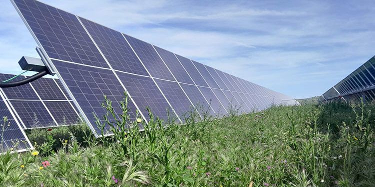 Ignis inaugura la planta de Guadacano en Antequera y Archidona (Málaga).