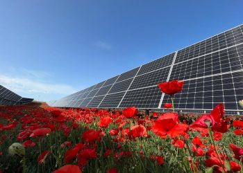 paneles solares