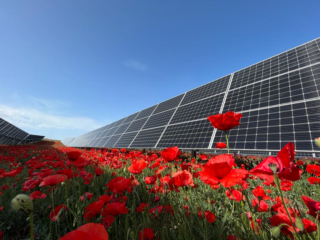 paneles solares