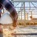 "Un trabajador de la construcción con casco y plano frente a una estructura en construcción."