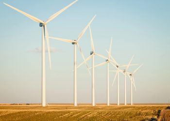 empleo sector energético