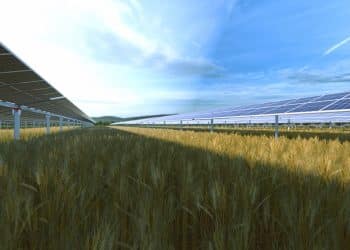 agrovoltaica