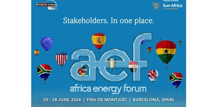 Africa Energy Forum 2024.