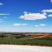 ENGIE inicia las obras de dos parques eólicos en Cádiz.