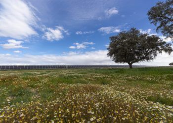 soltec