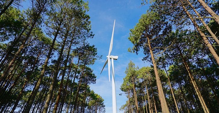 iberdrola