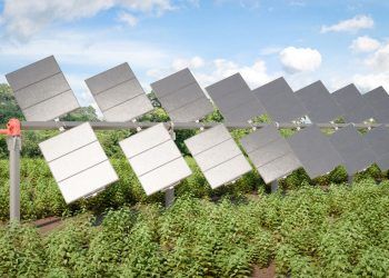 empleo sector energético