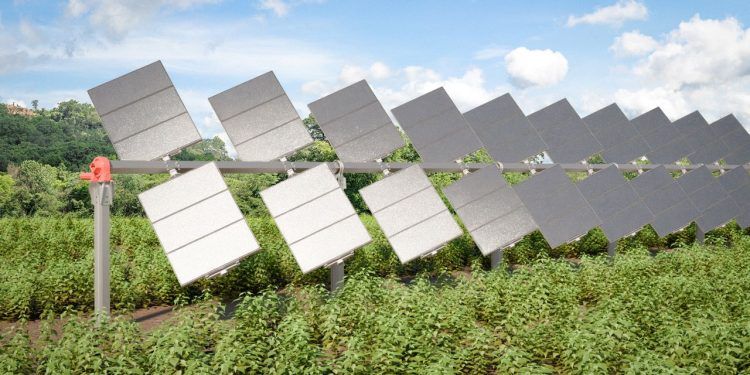empleo sector energético
