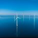 iberdrola