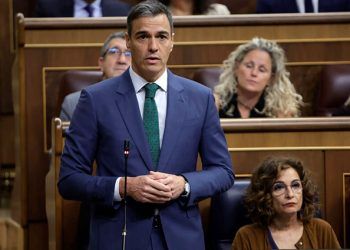 Pedro Sánchez habla de transición energética en el Congreso de los Diputados. Foto: La Moncloa.