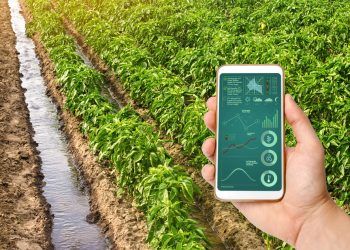 50 proyectos consiguen financiación del PERTE de digitalización del ciclo del agua