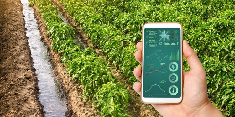 50 proyectos consiguen financiación del PERTE de digitalización del ciclo del agua