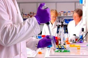 Investigación