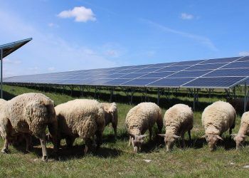 BayWa convierte antiguos terrenos militares en Francia en un centro de energía solar de 136 MW