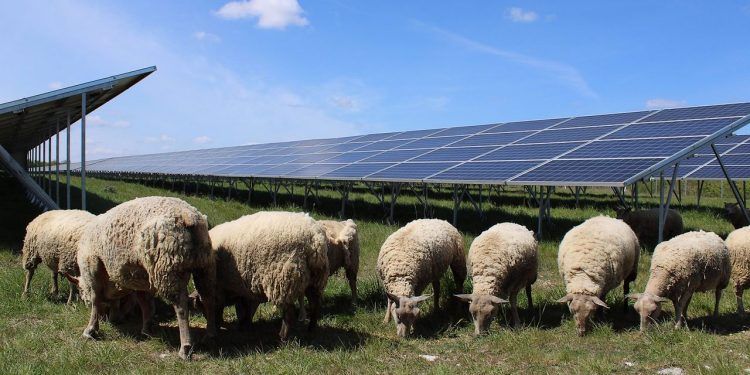 BayWa convierte antiguos terrenos militares en Francia en un centro de energía solar de 136 MW