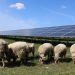 BayWa convierte antiguos terrenos militares en Francia en un centro de energía solar de 136 MW