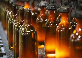 Un proyecto de economía circular permite fabricar botellas de vídrio con cenizas de biomasa
