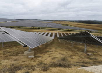 Ansasol pone en marcha una planta fotovoltaica de 13,5 MWp en Sevilla