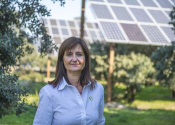 feníe energía