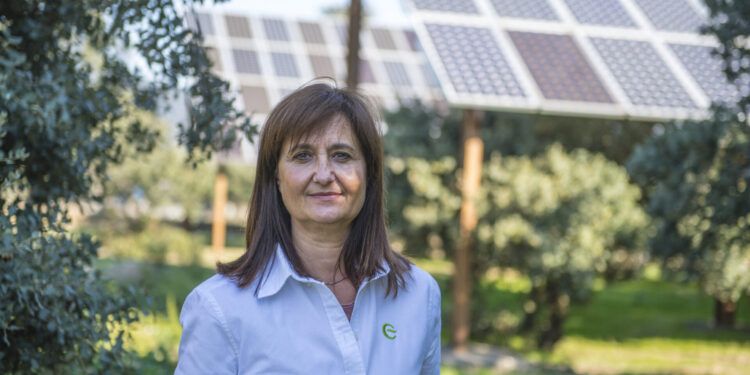 feníe energía