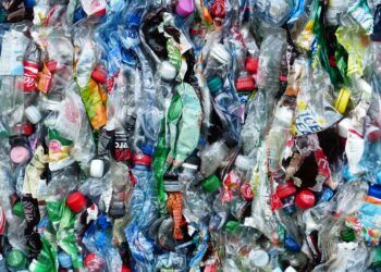 reciclaje de botellas de plástico