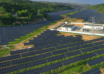 Trina Solar